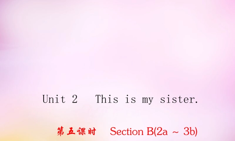 2【练闯考】Unit 2 This is my sister（第5课时）Section B（2a-3b）课件.ppt