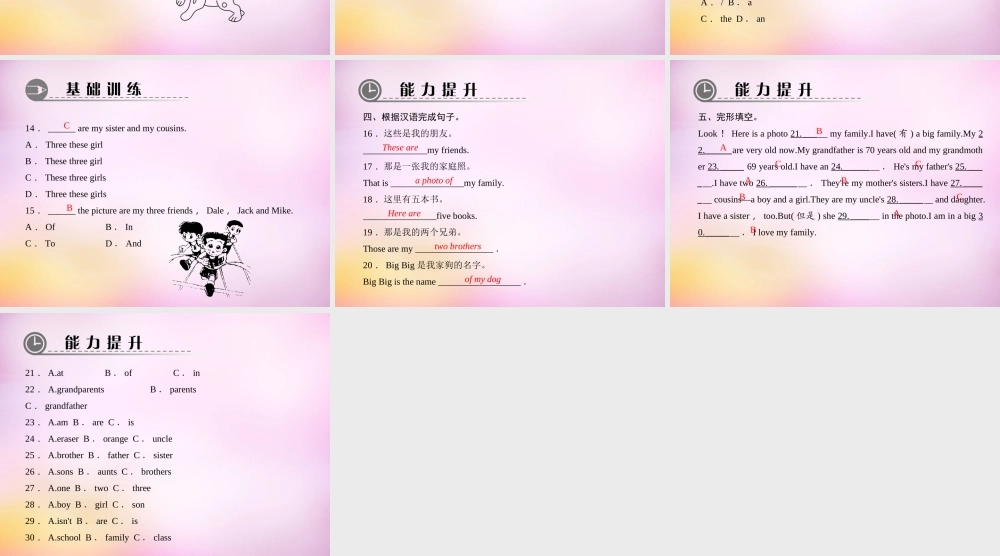2【练闯考】Unit 2 This is my sister（第5课时）Section B（2a-3b）课件.ppt
