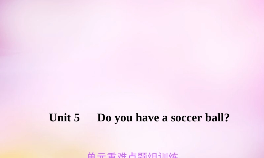 2【练闯考】Unit 5 Do you have a soccer ball重难点题组训练课件.ppt