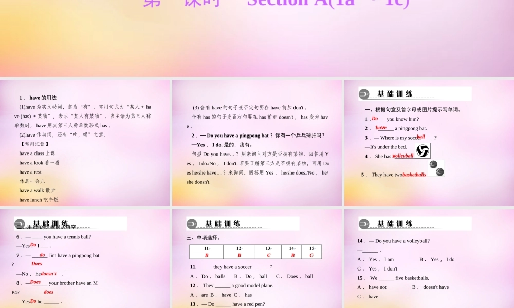 2【练闯考】Unit 5 Do you have a soccer ball（第1课时）Section A（1a-1c）课件.ppt