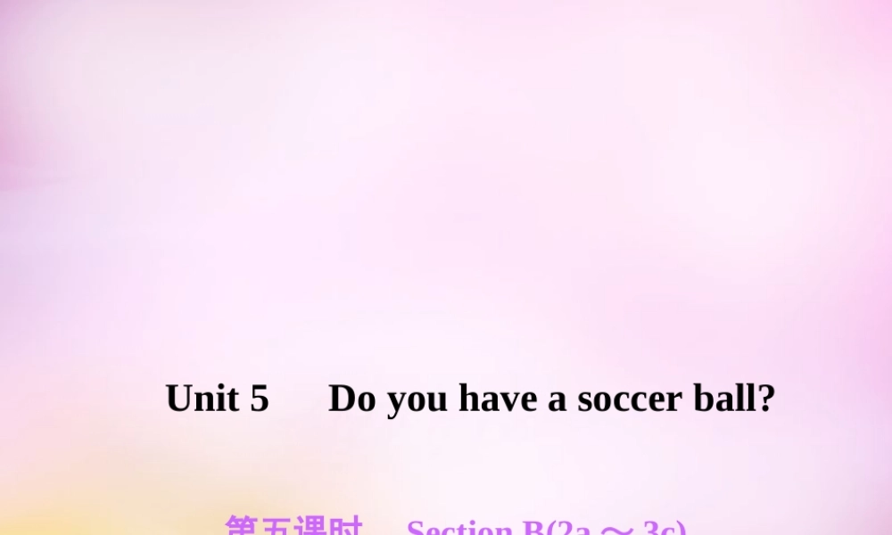 2【练闯考】Unit 5 Do you have a soccer ball（第5课时）Section B（2a-3c）课件.ppt