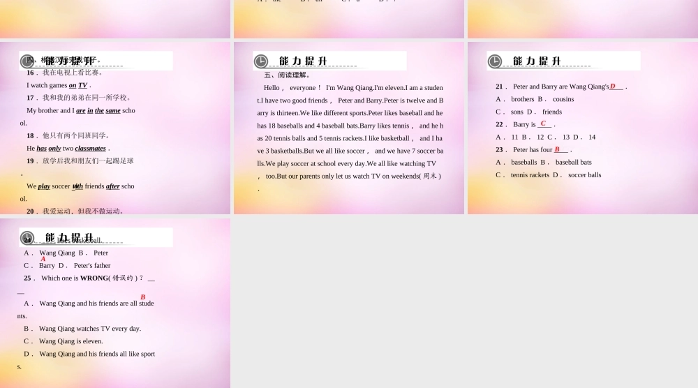 2【练闯考】Unit 5 Do you have a soccer ball（第5课时）Section B（2a-3c）课件.ppt