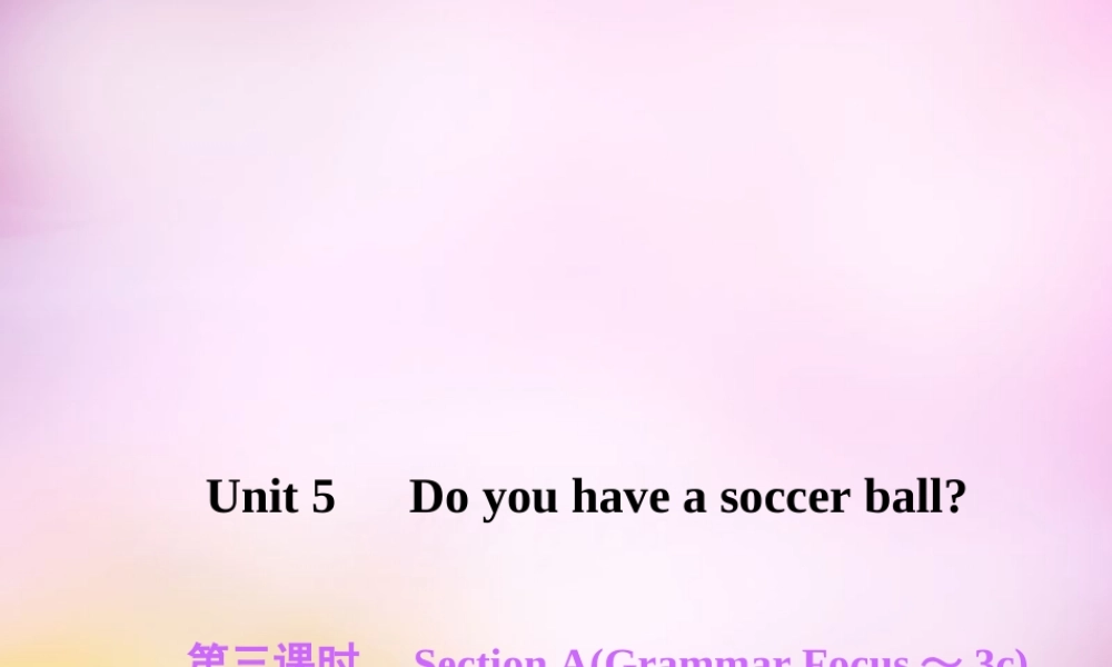 2【练闯考】Unit 5 Do you have a soccer ball（第3课时）Section A（Grammar Focus-3c）课件.ppt