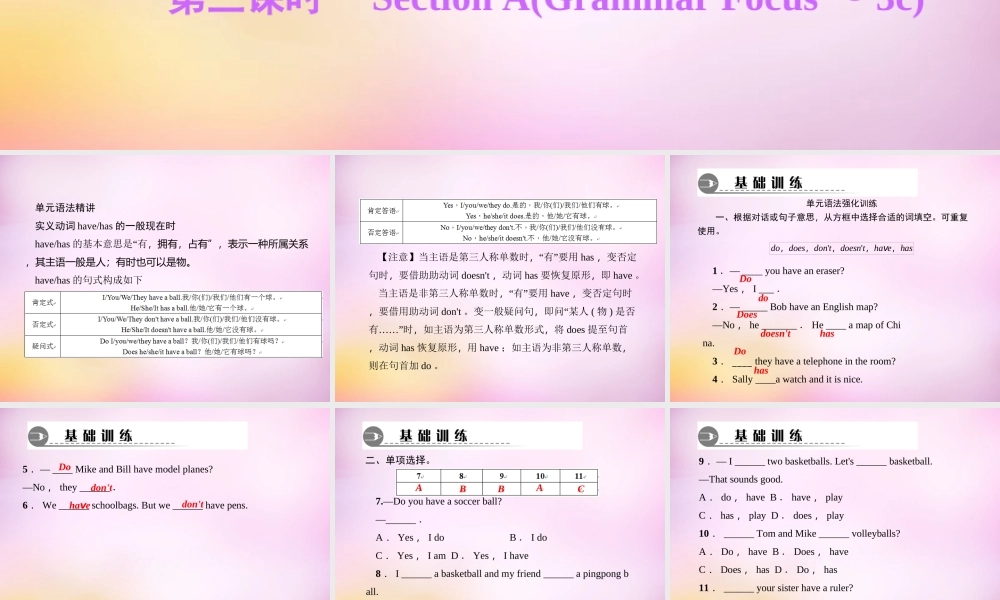 2【练闯考】Unit 5 Do you have a soccer ball（第3课时）Section A（Grammar Focus-3c）课件.ppt