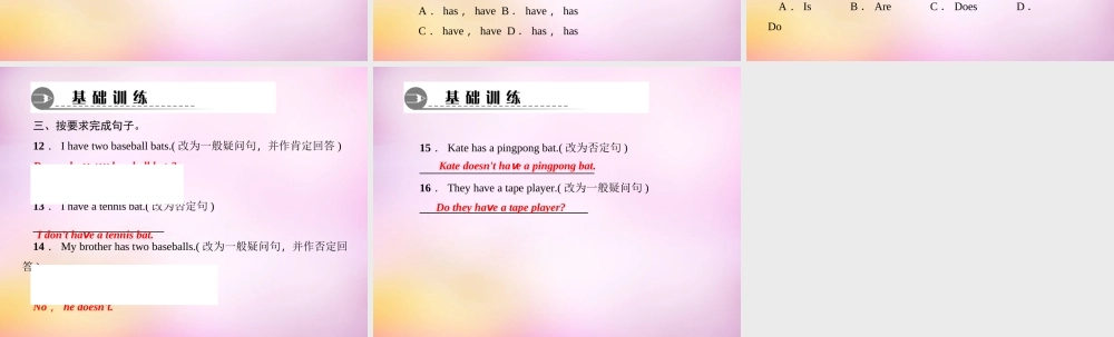 2【练闯考】Unit 5 Do you have a soccer ball（第3课时）Section A（Grammar Focus-3c）课件.ppt
