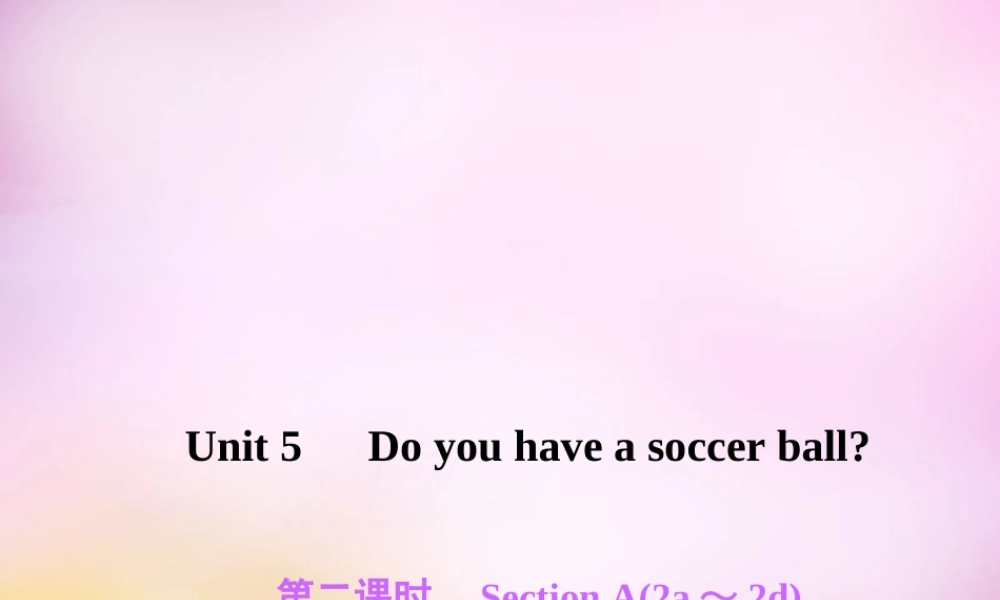 2【练闯考】Unit 5 Do you have a soccer ball（第2课时）Section A（2a-2d）课件.ppt