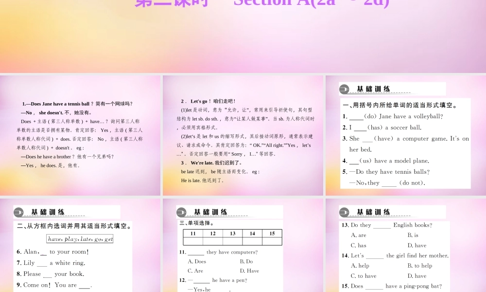 2【练闯考】Unit 5 Do you have a soccer ball（第2课时）Section A（2a-2d）课件.ppt