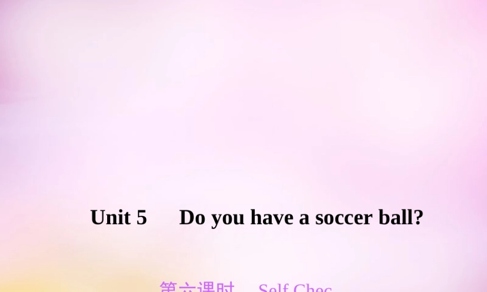 2【练闯考】Unit 5 Do you have a soccer ball（第6课时）Self Check课件.ppt