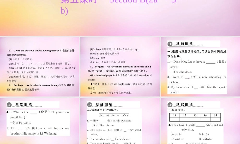 2【练闯考】Unit 7 How much are these socks（第5课时）Section B（2a-3b）课件.ppt