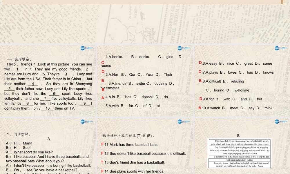 4【四清导航】Unit 5 Do you have a soccer ball？单元同步阅读提升课件.ppt