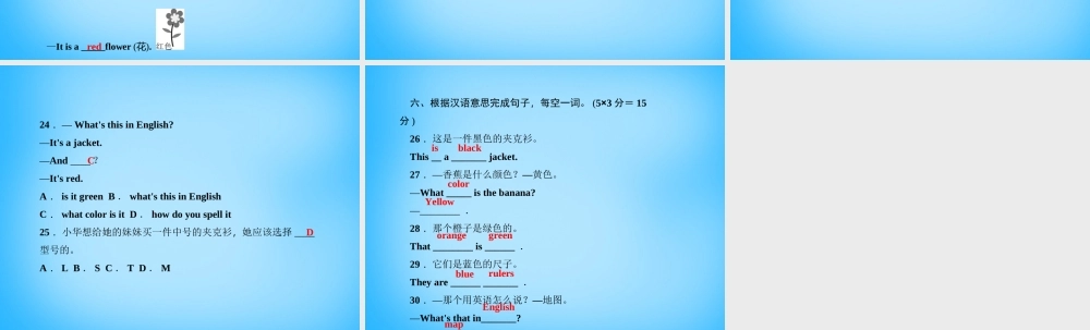 5【名师导航】Starter Unit 3 What color is it（第一课时）1a-2e课件.ppt