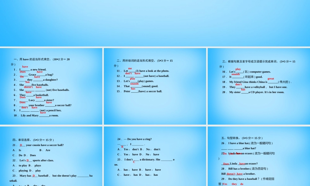 5【名师导航】Unit 5 Do you have a soccer ball？（第三课时）Section A(Grammar Focus-3c)课件.ppt