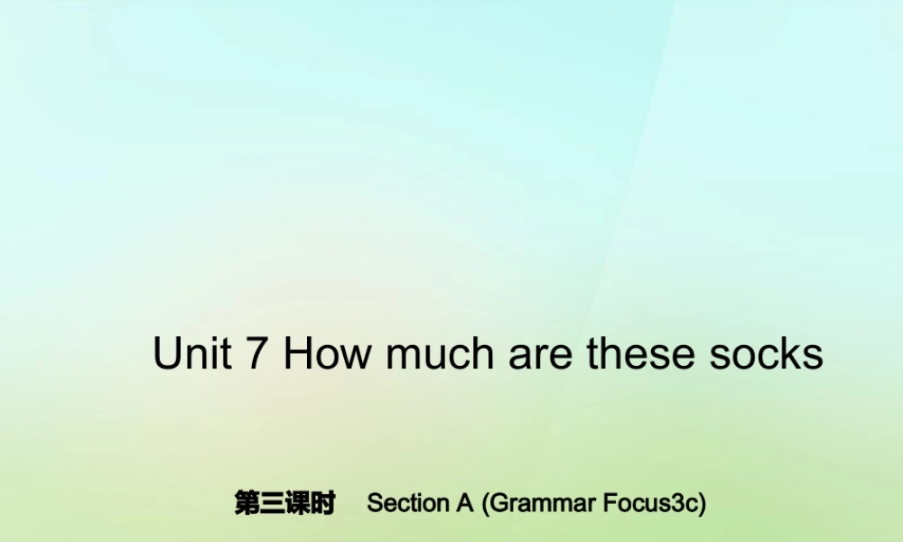 5【名师导航】Unit 7 How much are these socks？（第三课时）Section A(Grammar Focus-3c)课件.ppt
