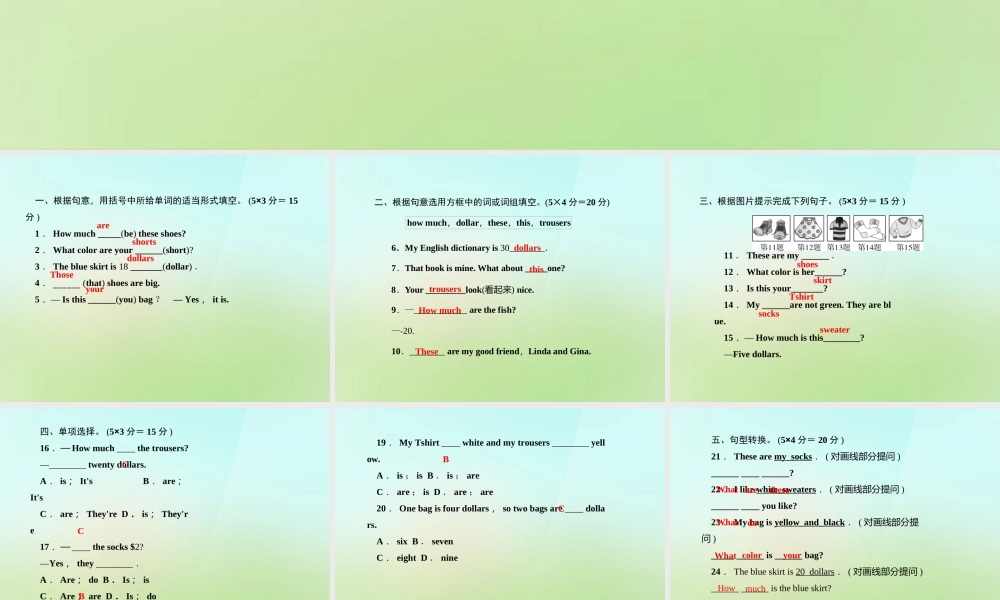 5【名师导航】Unit 7 How much are these socks？（第一课时）Section A(1a-1c)课件.ppt