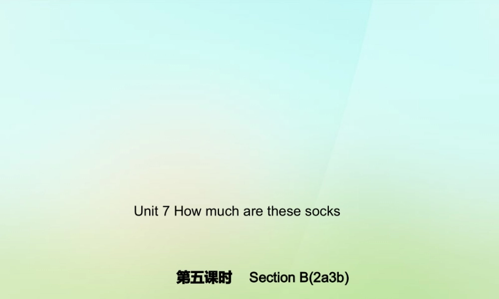 5【名师导航】Unit 7 How much are these socks？（第五课时）Section B(2a-3b)课件.ppt