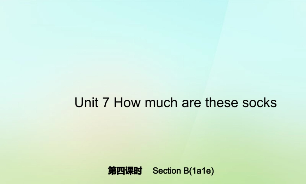 5【名师导航】Unit 7 How much are these socks？（第四课时）Section B(1a-1e)课件.ppt