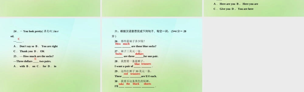 5【名师导航】Unit 7 How much are these socks？（第四课时）Section B(1a-1e)课件.ppt