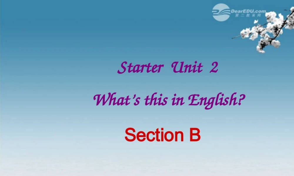 6【名师课件】Starter Unit 2 What's this in English Section B课件.ppt