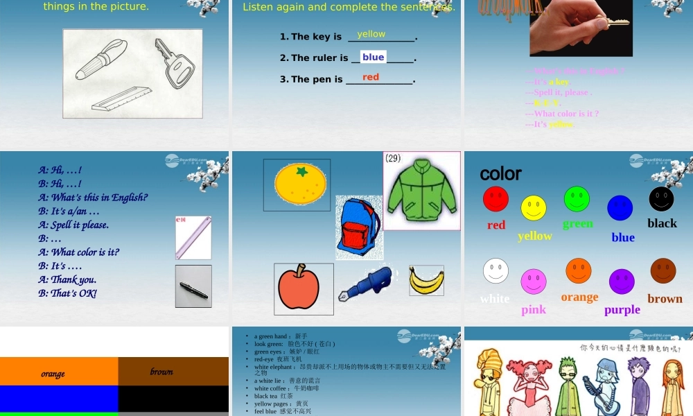 6【名师课件】Starter Unit 3 What color is it period 2课件.ppt