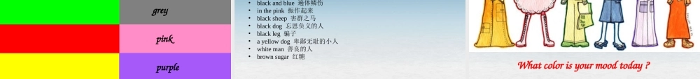 6【名师课件】Starter Unit 3 What color is it period 2课件.ppt