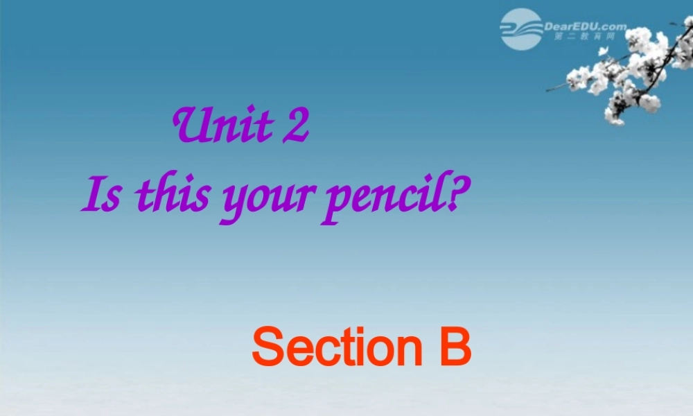 6【名师课件】unit 2 Is this your pencil Section B课件.ppt