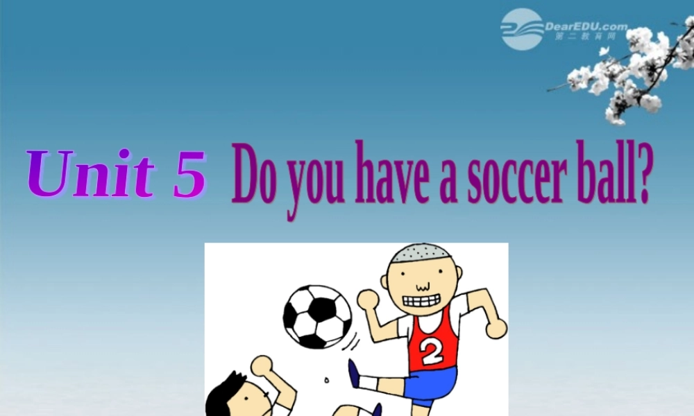 6【名师课件】Unit 5 Do you have a soccer ball Section B 1课件.ppt