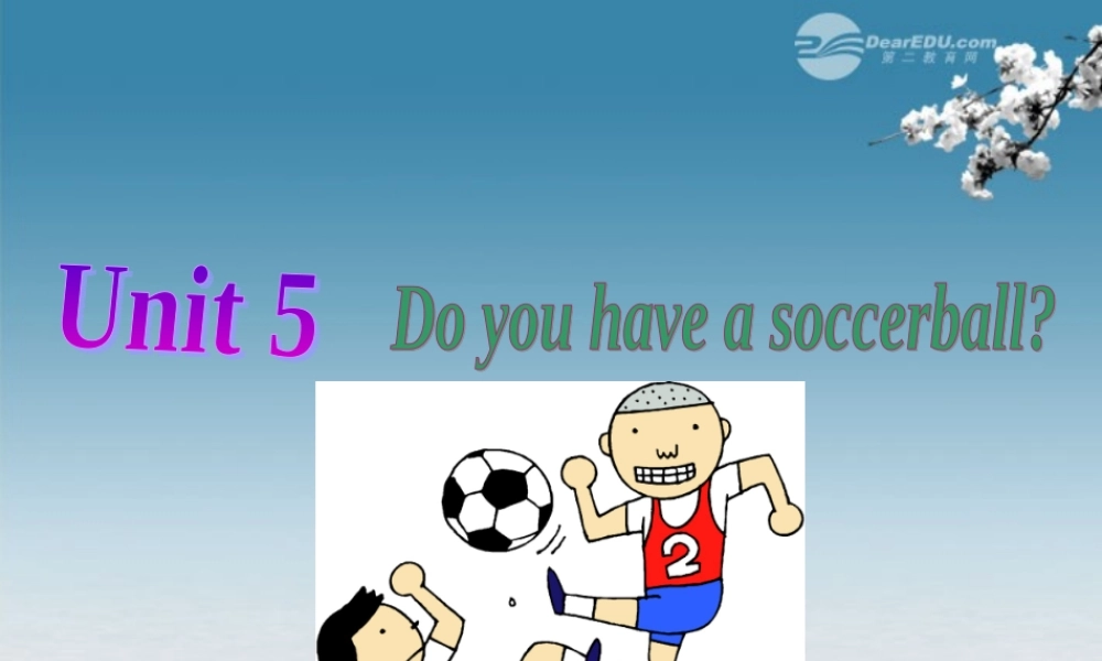 6【名师课件】Unit 5 Do you have a soccer ball Section A 1课件.ppt