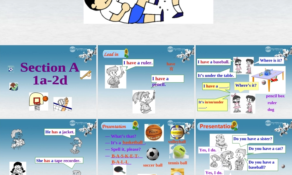 6【名师课件】Unit 5 Do you have a soccer ball Section A 1课件.ppt