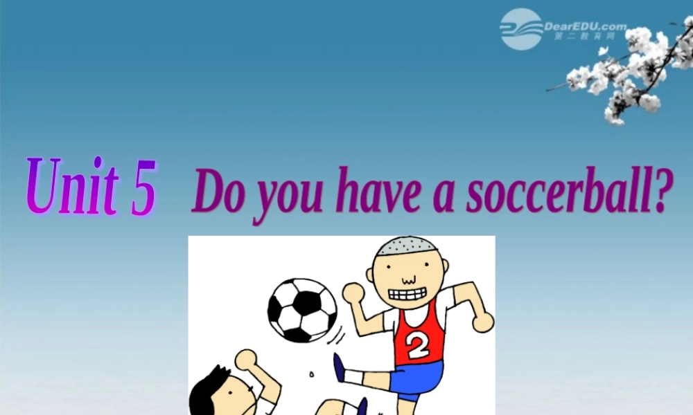 6【名师课件】Unit 5 Do you have a soccer ball Section A 2课件.ppt