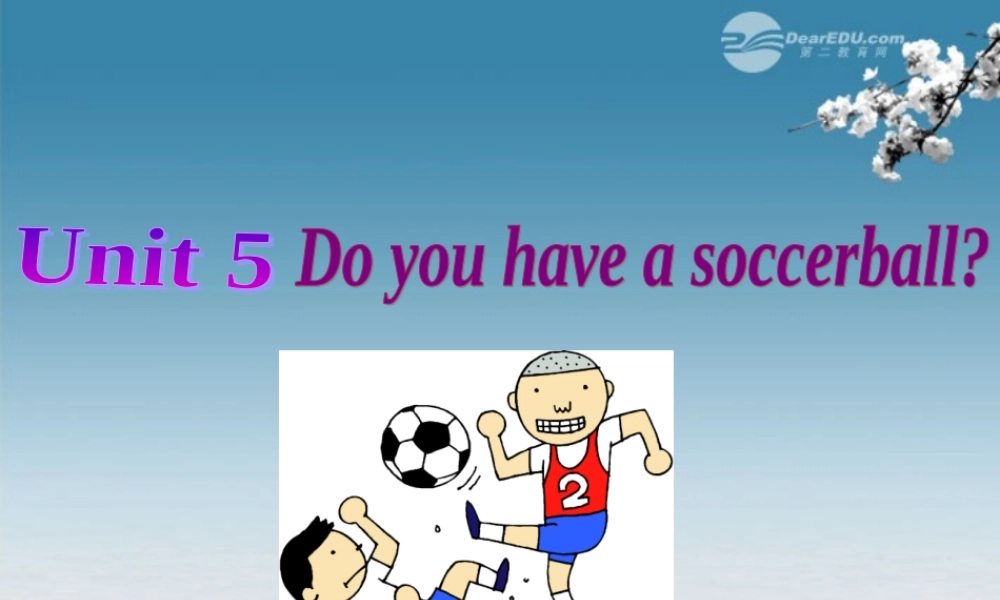 6【名师课件】Unit 5 Do you have a soccer ball Section B 2课件.ppt