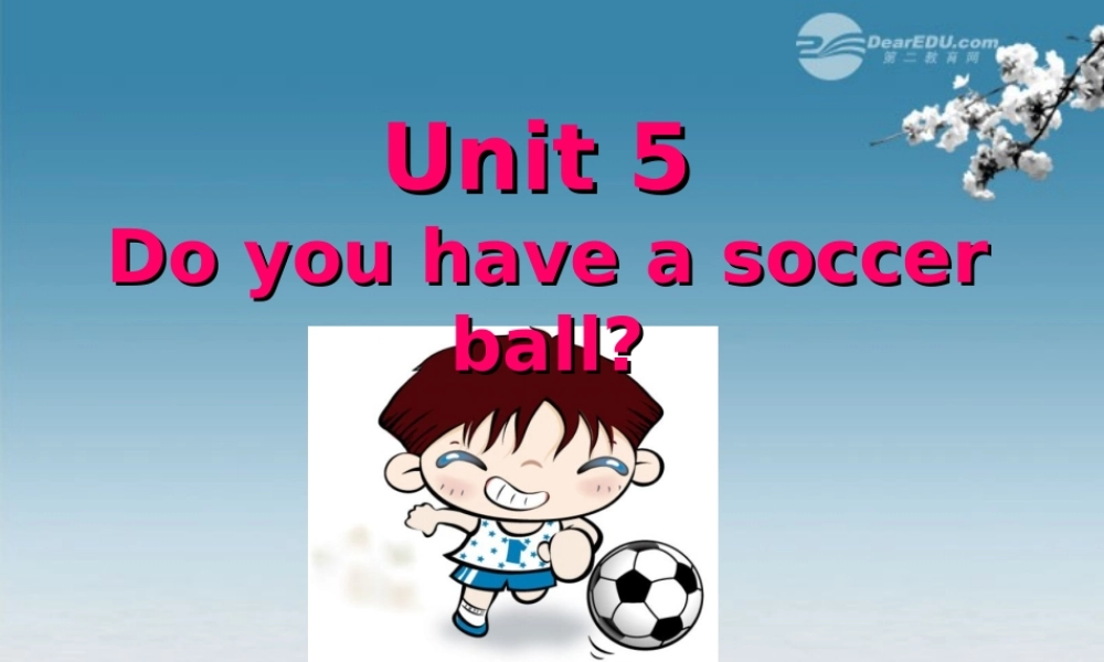 6【名师课件】Unit 5 Do you have a soccer ball Section B Period One课件.ppt