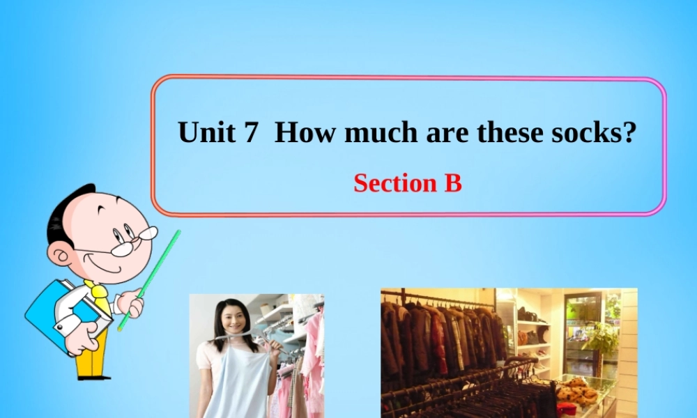 7【名师课件】Unit 7 How much are these socks Section B课件3.ppt