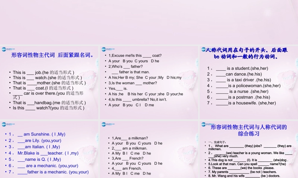 9【名师课件】Unit 1 My name is Gina人称代词与形容词性课件.ppt
