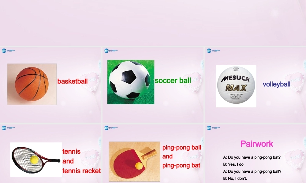 9【名师课件】Unit 5 Do have a soccer ball（第1课时）课件.ppt