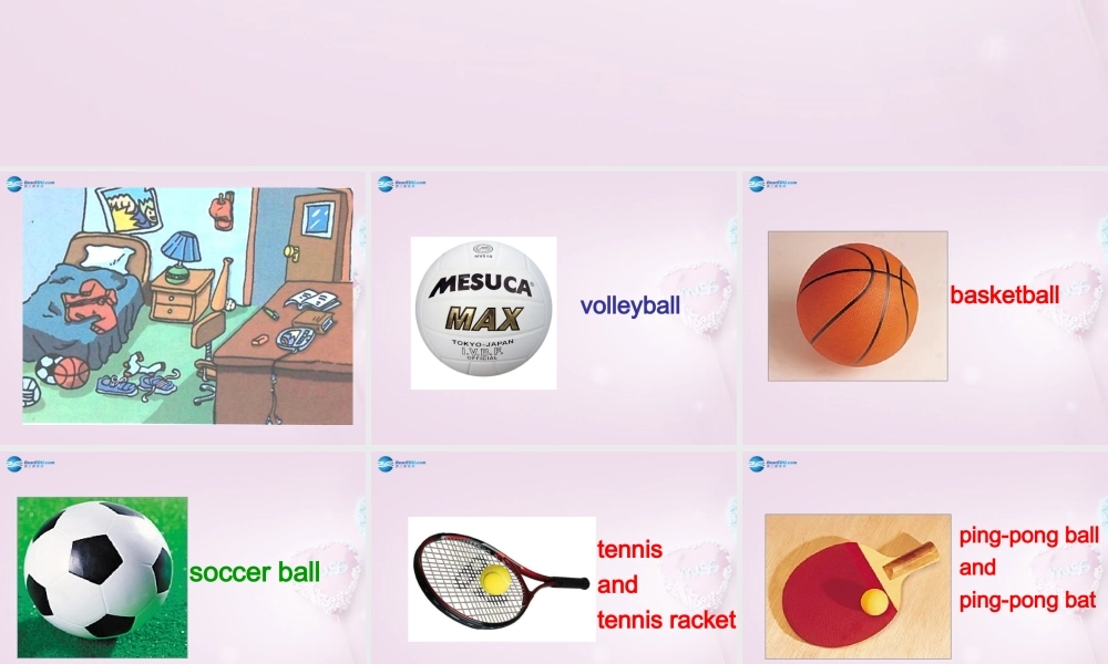 9【名师课件】Unit 5 Do have a soccer ball（第一课时）课件.ppt