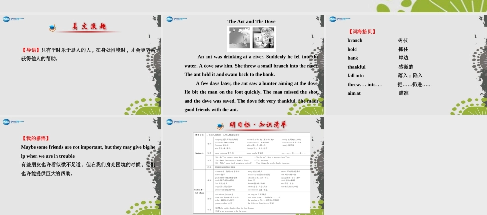 【世纪金榜】八年级英语上册 Unit 3 I’m more outgoing than my sister课件.ppt