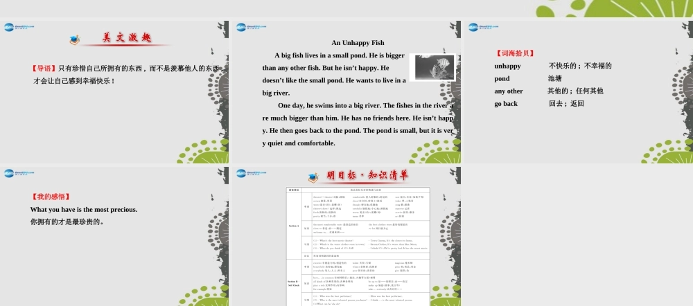 【世纪金榜】八年级英语上册 Unit 4 What’s the best movie theater？课件.ppt