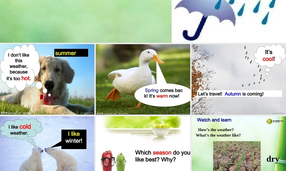 【吉林】 《Unit 7 It's raining!》Section B课件（1）.ppt