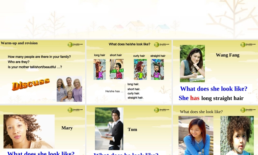 【吉林】 《Unit 9 What does he look like》Section A课件.ppt