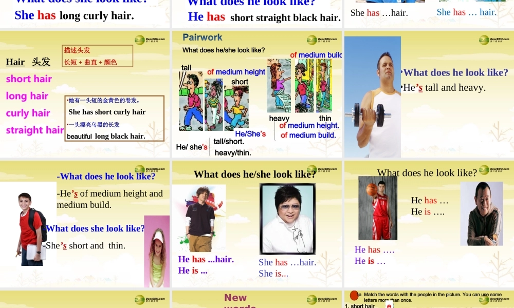 【吉林】 《Unit 9 What does he look like》Section A课件.ppt