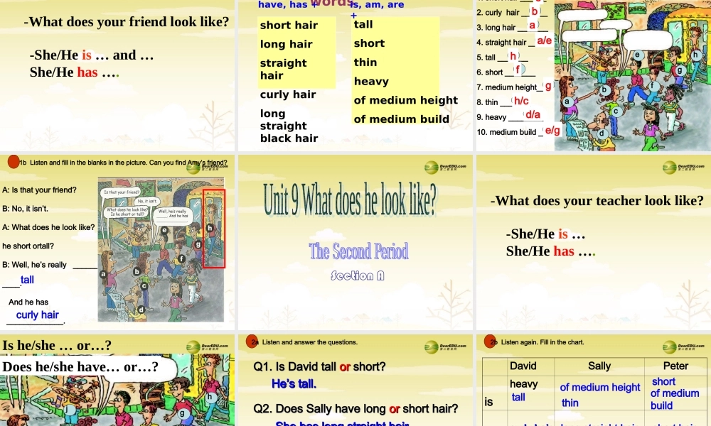 【吉林】 《Unit 9 What does he look like》Section A课件.ppt