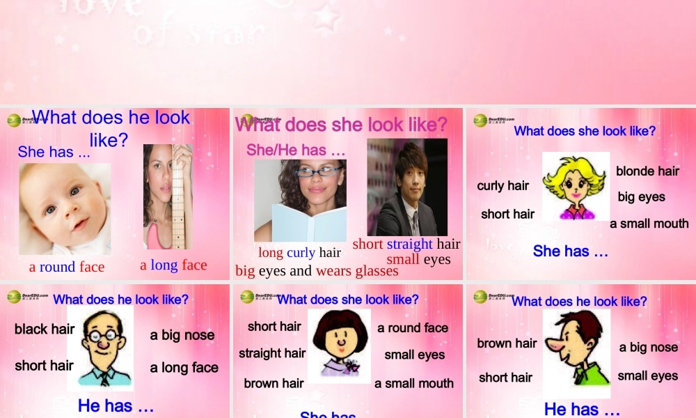 【吉林】 《Unit 9 What does he look like》Section B课件.ppt