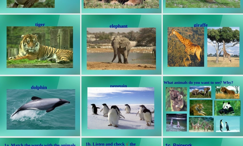 【名师精品】1 Unit 5 Why do you like pandas Section A 课件.ppt