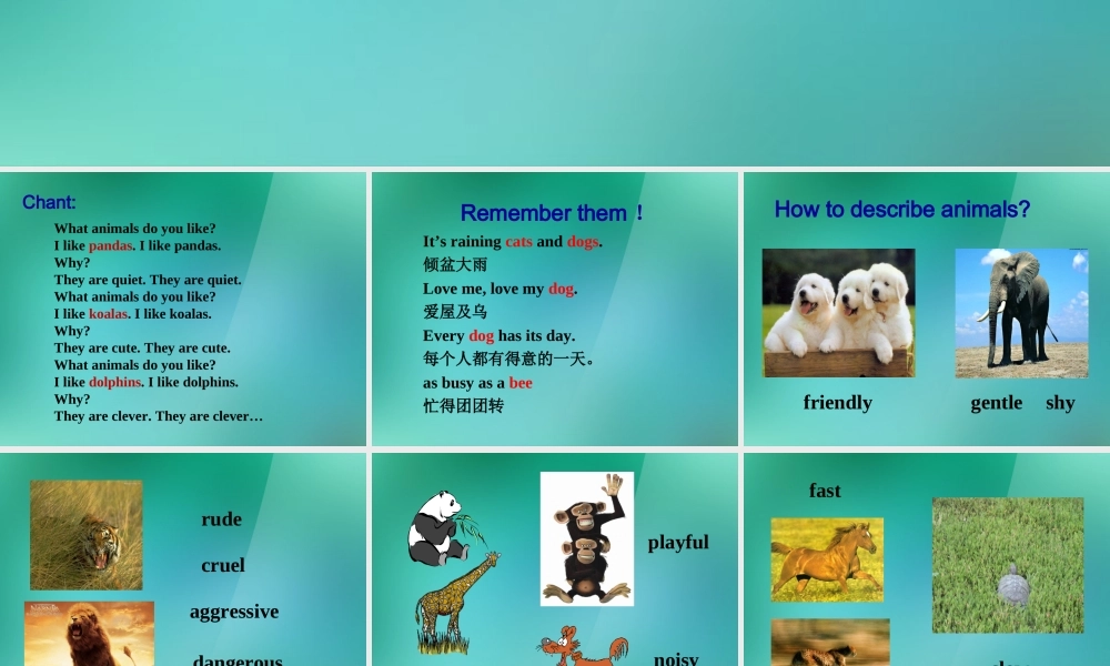 【名师精品】1 Unit 5 Why do you like pandas Section B 课件.ppt