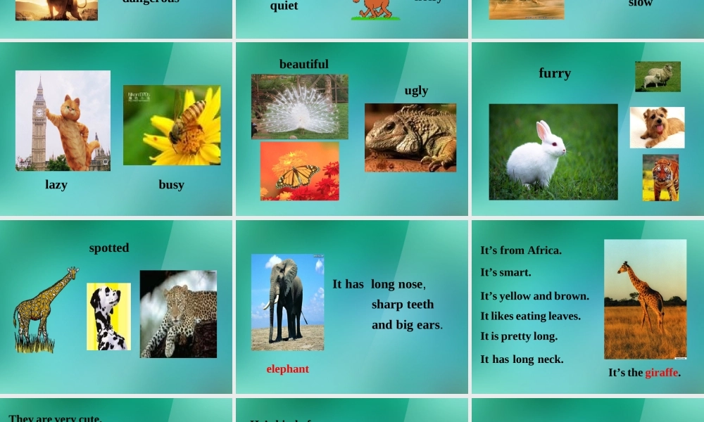 【名师精品】1 Unit 5 Why do you like pandas Section B 课件.ppt