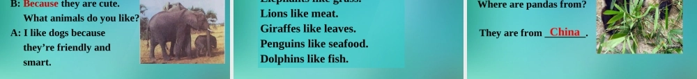 【名师精品】1 Unit 5 Why do you like pandas Section B 课件.ppt