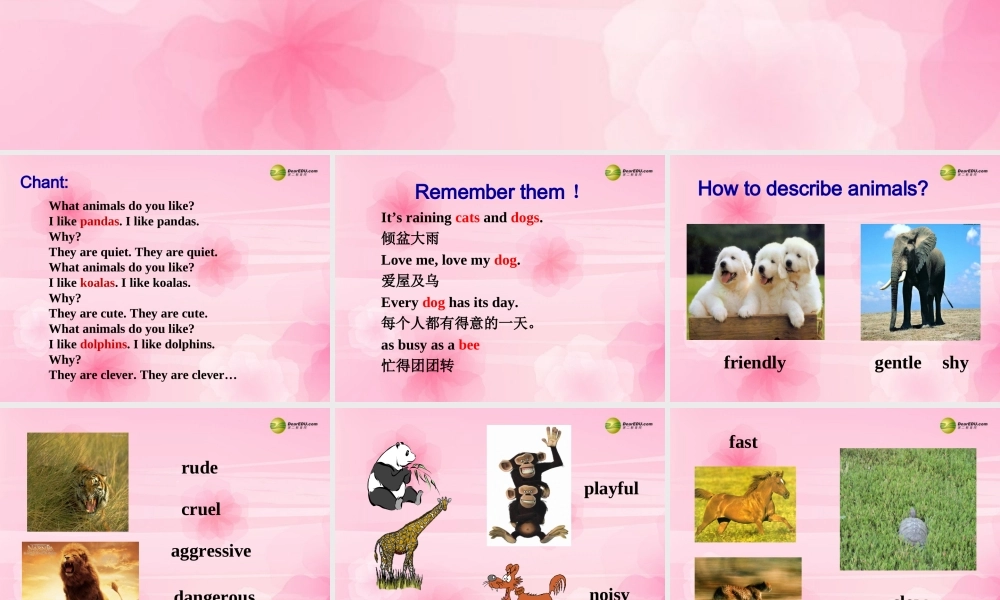 【名师精品】2 unit 5 Why do you like pandas？Section B课件.ppt