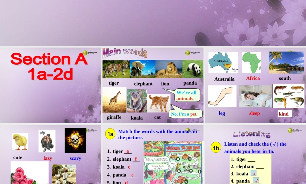 【名师精品】2 unit 5 Why do you like pandas？Section A(1a-2d)课件.ppt