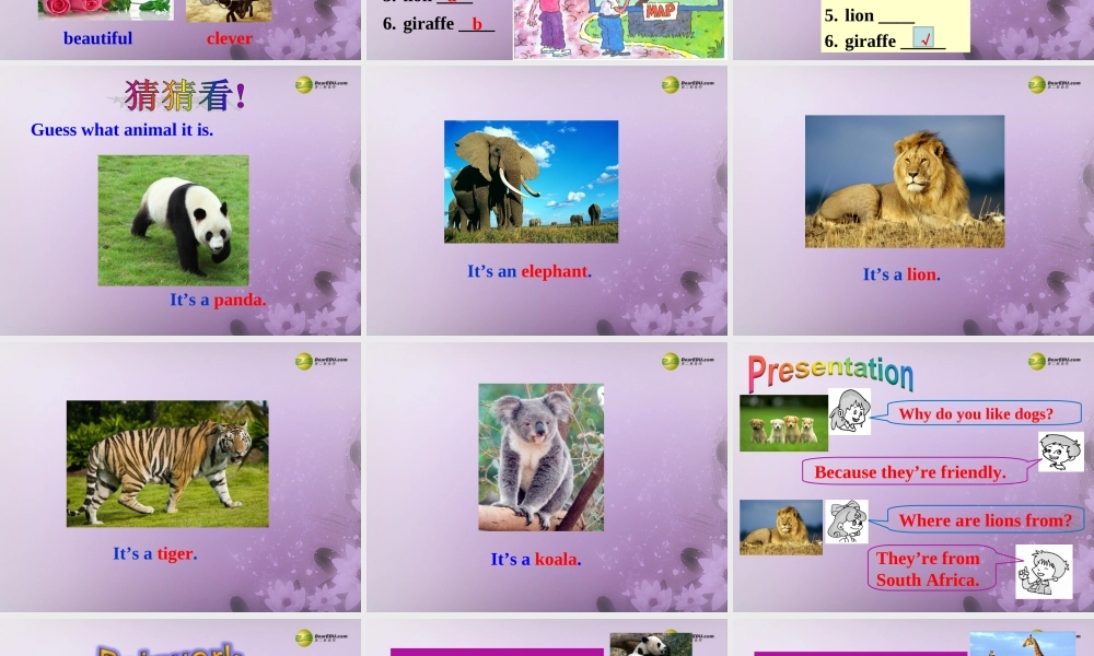 【名师精品】2 unit 5 Why do you like pandas？Section A(1a-2d)课件.ppt