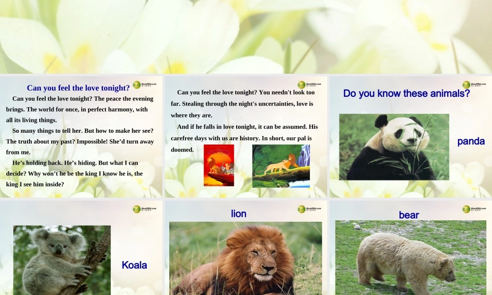 【名师精品】2 unit 5 Why do you like pandas？Section A课件.ppt